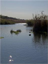 Широчани з panoramio.com