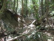 Польове з panoramio.com