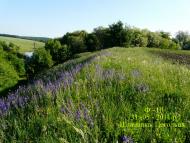 Шпиківка з panoramio.com