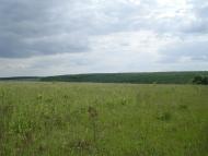 Мала Стружка з panoramio.com