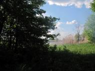 Шовкова Протока з panoramio.com