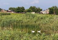 Катеринівка з panoramio.com