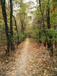 Ревівка з panoramio.com