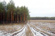 Метьолкіне з panoramio.com