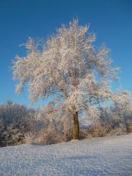 Захарівка з panoramio.com