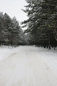 Проців з panoramio.com