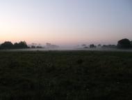 Скрипаї з panoramio.com