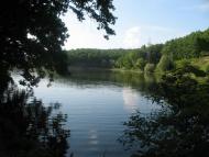 Лісне з panoramio.com