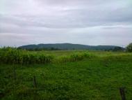 Нижня Вовча з panoramio.com