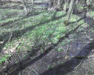 Адріанопіль з panoramio.com