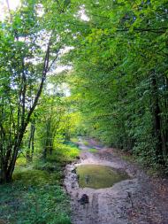 Ромейки з panoramio.com