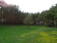 Гірки з panoramio.com
