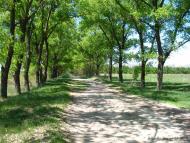 Булахів з panoramio.com