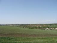 Заїки з panoramio.com