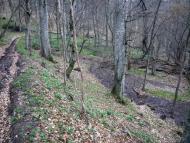 Учебне з panoramio.com