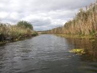 Шостакове з panoramio.com