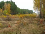 Троянівка з panoramio.com