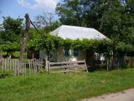 Ольгопіль з panoramio.com