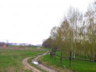 Крені з panoramio.com