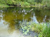 Климентове з panoramio.com