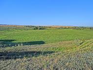 Андріївка з panoramio.com