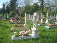 Рудка - Останні фото