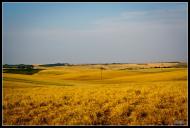 Бармаки з panoramio.com