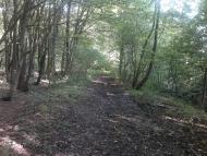 Ковиничі з panoramio.com