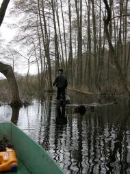 Оржиця з panoramio.com