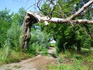 Кам'янече з panoramio.com