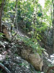 Польове з panoramio.com