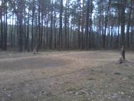 Реклинець - Останні фото