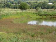 Рошнів з panoramio.com