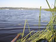 Ржищів з panoramio.com