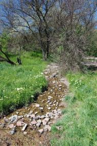 Василівка - Останні фото