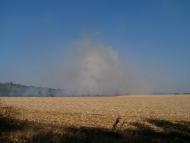 Степанівка з panoramio.com