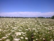 Розльоти з panoramio.com