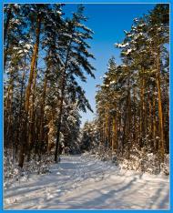 Тепениця з panoramio.com