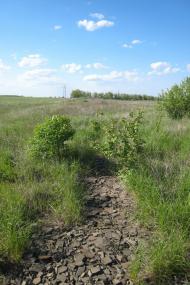 Тамара з panoramio.com