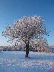Захарівка з panoramio.com