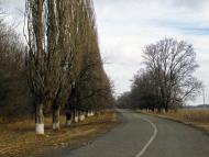 Вільне з panoramio.com