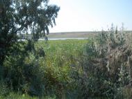 Афанасіївка з panoramio.com