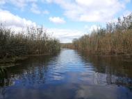 Шостакове з panoramio.com