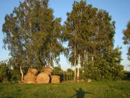 Безіменне з panoramio.com