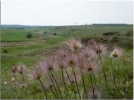 Катерино-Наталівка з panoramio.com