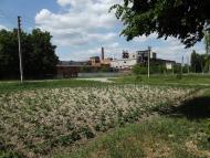 Маркове з panoramio.com