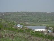 Шостакове з panoramio.com