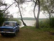 Бойни - Последние фото