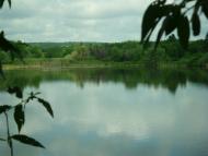 Березівка з panoramio.com