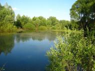 Михайло-Коцюбинське з panoramio.com